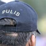 pulis