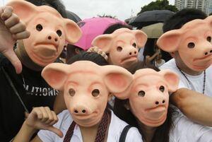Dayunyor nabukulan sa itinagong pork barrel?
