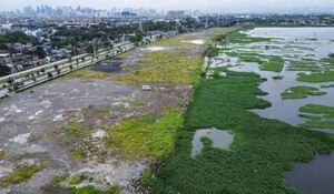 170-ektarya ng Laguna de Bay sa Taguig, titulado na